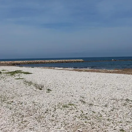 Almadraba 85 *